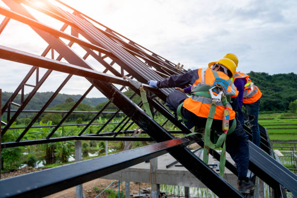 Best Roof Gutter Cleaning  in Presque Isle, ME