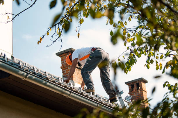 Best Tile Roofing Contractor  in Presque Isle, ME